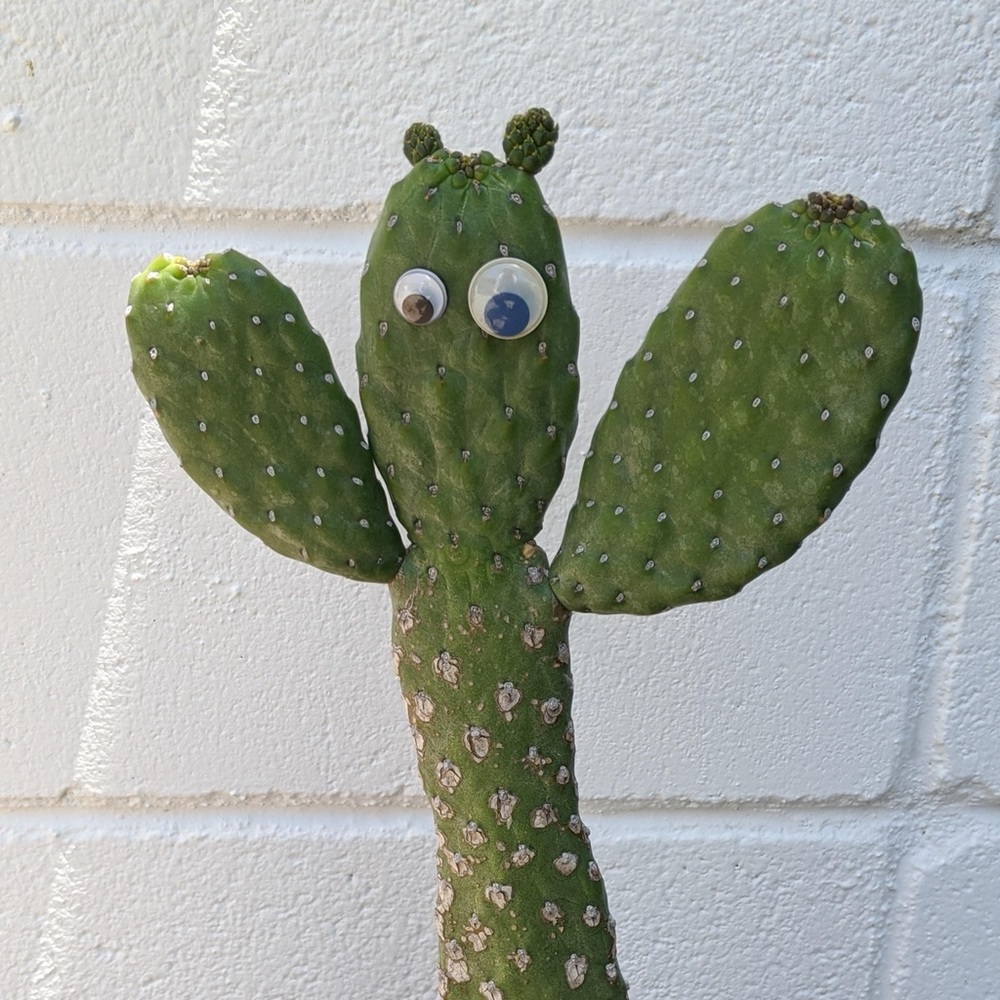 Meet your Posher, Pea